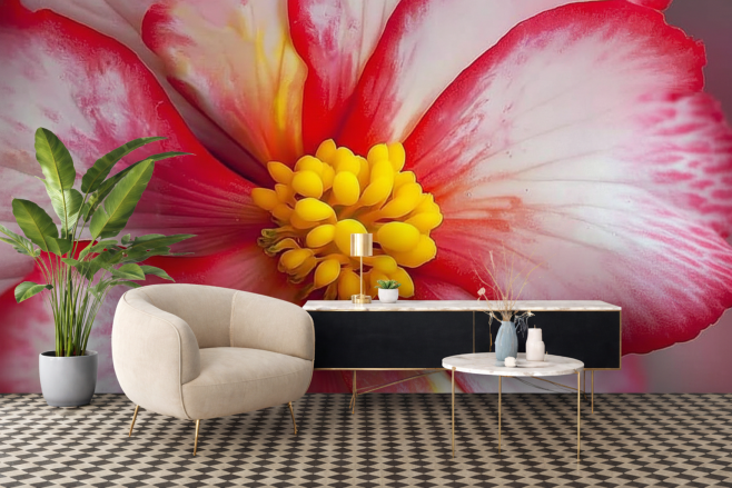 Blossom Tidal