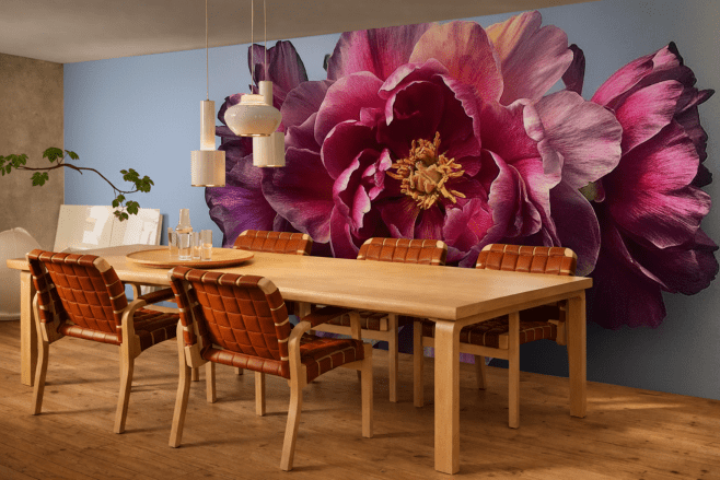Peony Petal Haven