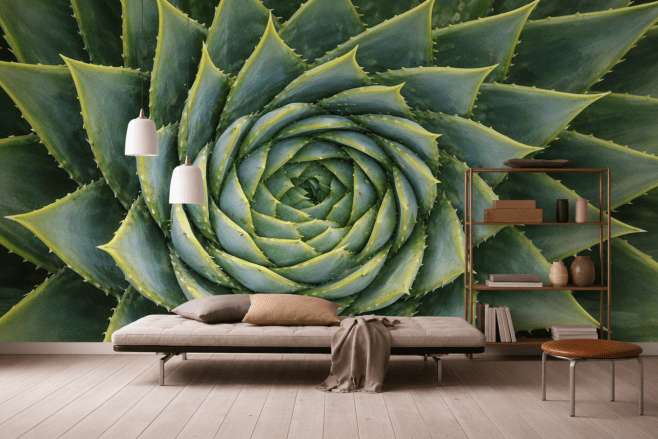 Spiral Cactus Mural