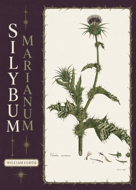 William Curtis Silybum Marianum No6 - Affiche