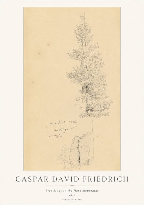 Caspar David Friedrich Tree Study in the Harz Mountains No1 - Affiche