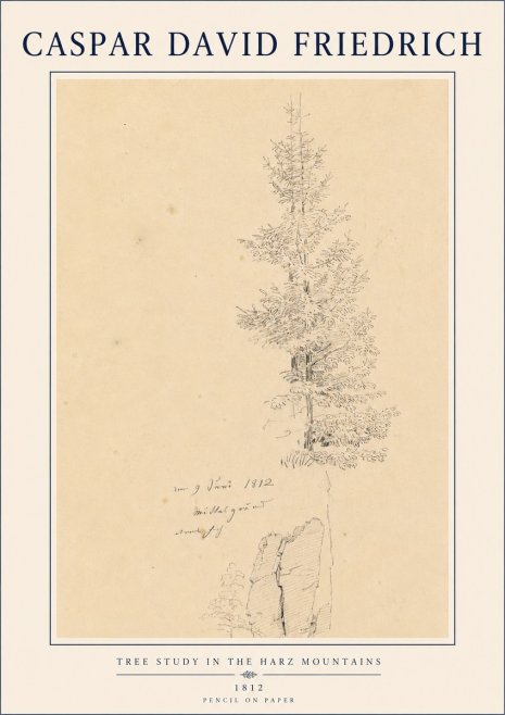 Caspar David Friedrich Tree Study in the Harz Mountains No4 - Affiche
