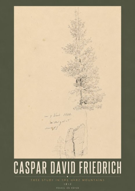 Caspar David Friedrich Tree Study in the Harz Mountains No5 - Affiche