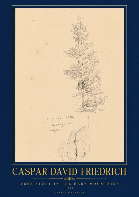 Caspar David Friedrich Tree Study in the Harz Mountains No6 - Affiche