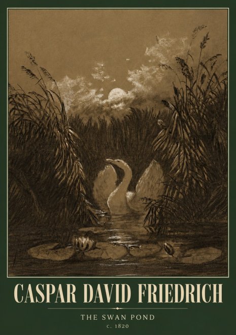 Caspar David Friedrich The Swan Pond No5 - Affiche