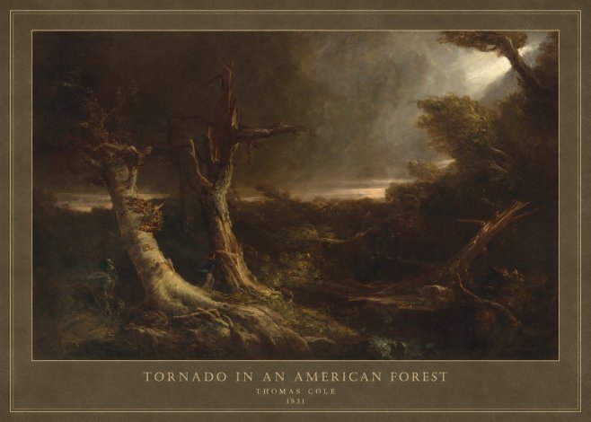 Thomas Cole Tornado in an American Forest No4 - Affiche