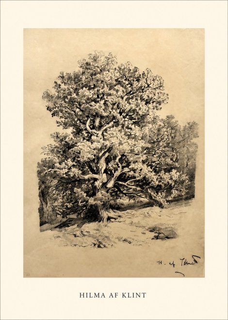 Hilma af Klint Large Tree Landscape No1 - Affiche