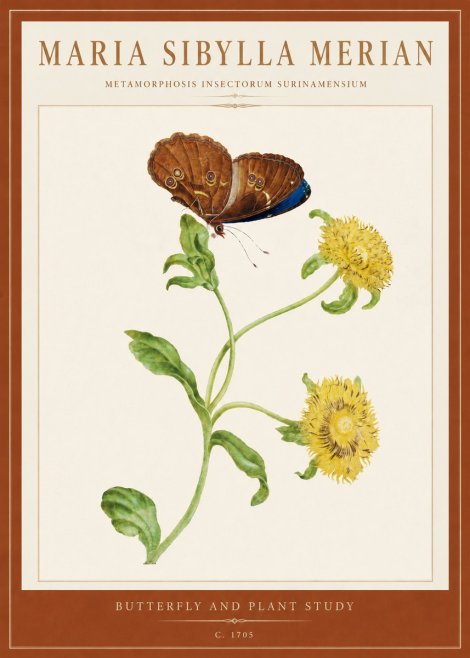 Maria Sibylla Merian Butterfly and Plant Study No5 - Affiche