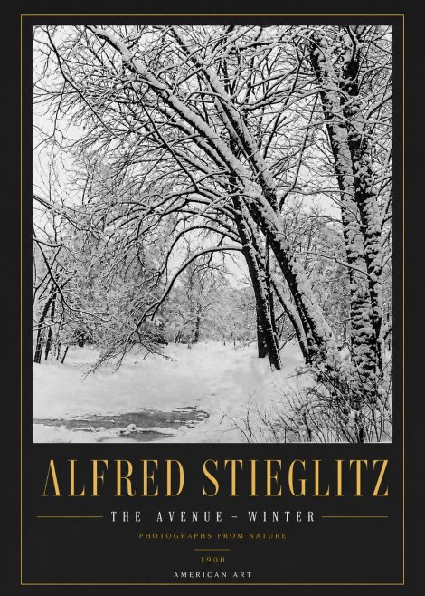 Alfred Stieglitz The Avenue – Winter No6 - Affiche