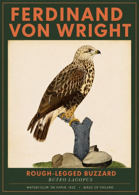 Ferdinand von Wright Rough-legged Buzzard No2 - Affiche