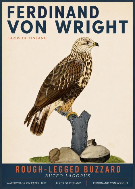 Ferdinand von Wright Rough-legged Buzzard No3 - Affiche
