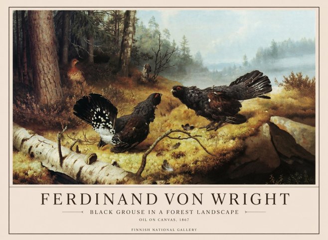 Ferdinand von Wright Black Grouse in a Forest Landscape No1 - Affiche