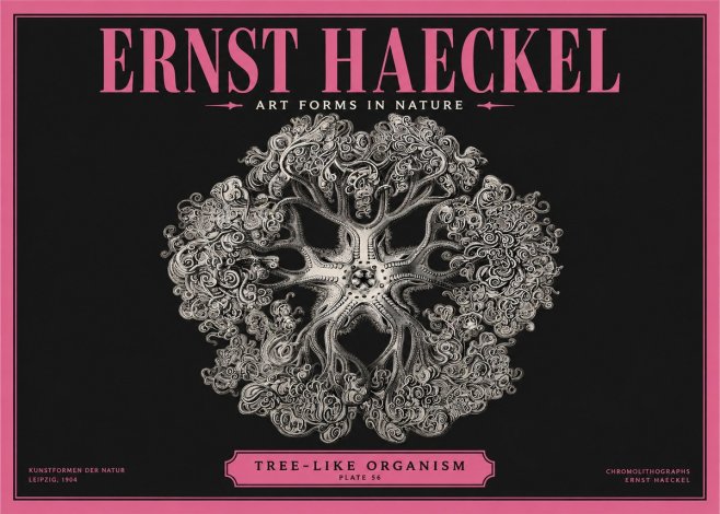 Ernst Haeckel Tree-like Organism No2 - Affiche