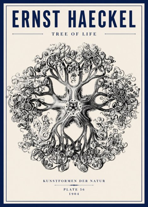 Ernst Haeckel Tree-like Organism No6 - Affiche