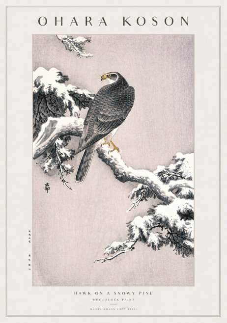 Ohara Koson Hawk on a Snowy Pine No1 - Affiche