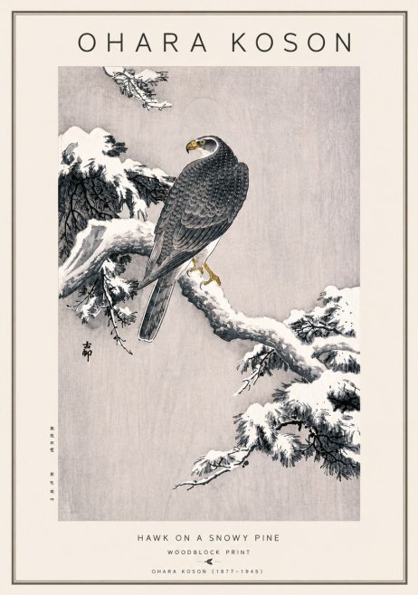 Ohara Koson Hawk on a Snowy Pine No5 - Affiche
