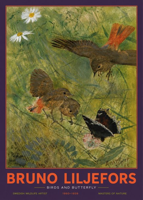 Bruno Liljefors Birds and Butterfly No2 - Affiche