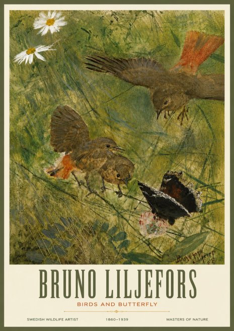 Bruno Liljefors Birds and Butterfly No3 - Affiche
