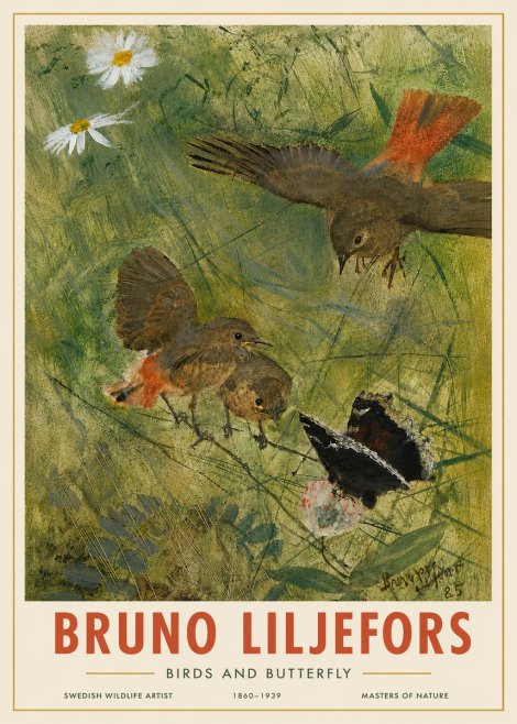 Bruno Liljefors Birds and Butterfly No4 - Affiche