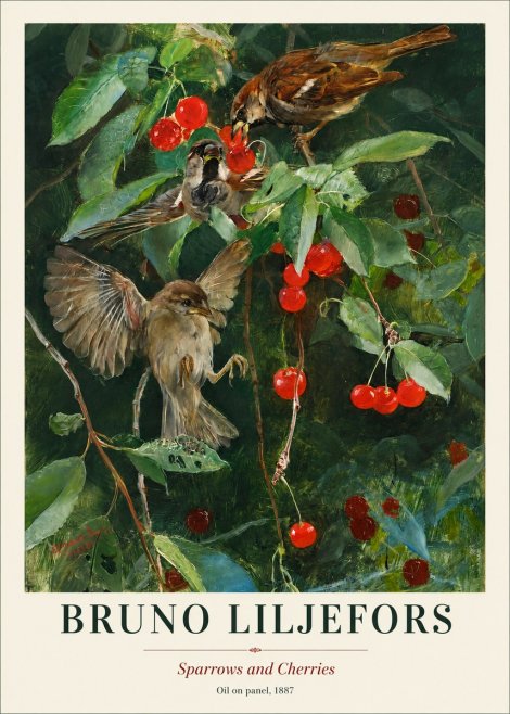 Bruno Liljefors Sparrows and Cherries No1 - Affiche