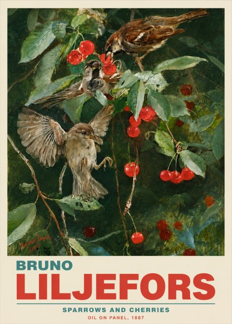 Bruno Liljefors Sparrows and Cherries No5 - Affiche