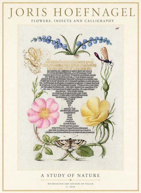 Joris Hoefnagel A Study of Nature I No1 - Affiche
