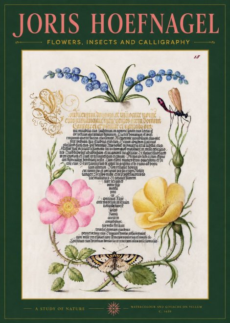 Joris Hoefnagel A Study of Nature I No2 - Affiche