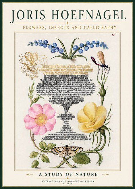 Joris Hoefnagel A Study of Nature I No4 - Affiche