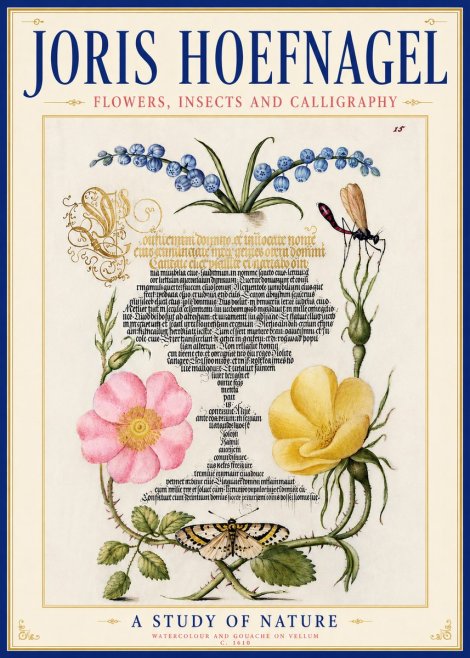 Joris Hoefnagel A Study of Nature I No6 - Affiche