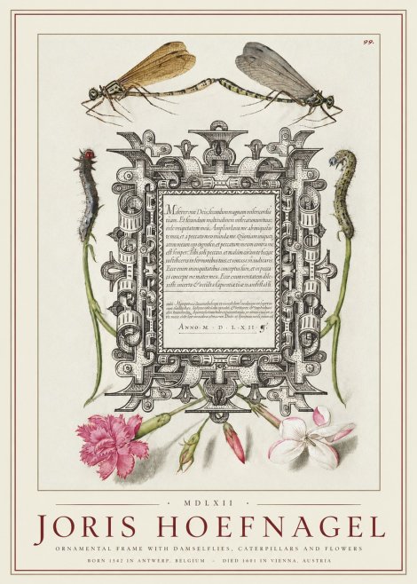 Joris Hoefnagel Ornamental Frame with Damselflies, Caterpillars and Flowers No1 - Affiche