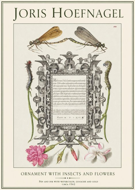 Joris Hoefnagel Ornamental Frame with Damselflies, Caterpillars and Flowers No2 - Affiche