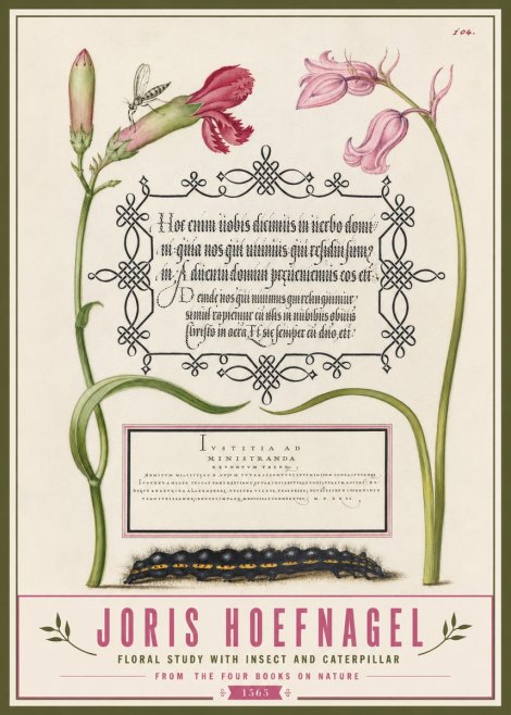 Joris Hoefnagel Floral Study with Insect and Caterpillar No3 - Affiche
