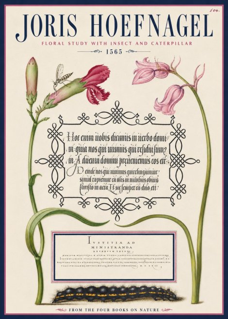 Joris Hoefnagel Floral Study with Insect and Caterpillar No4 - Affiche
