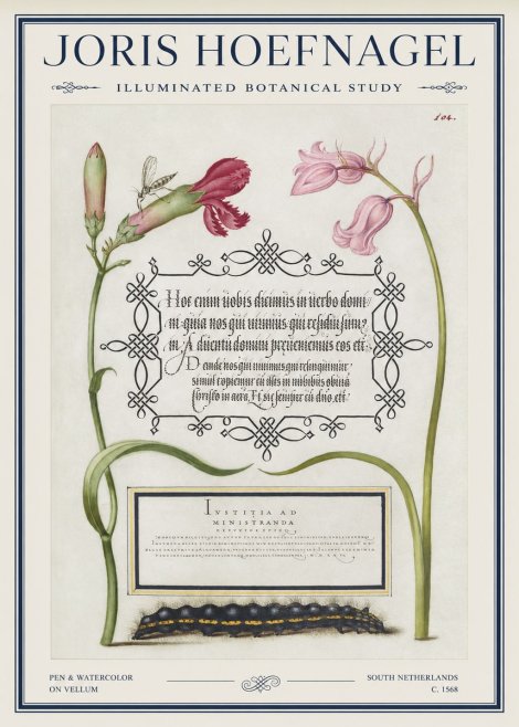Joris Hoefnagel Floral Study with Insect and Caterpillar No5 - Affiche