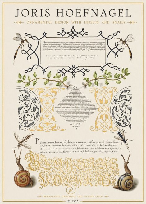 Joris Hoefnagel Memento Mori No2 - Affiche