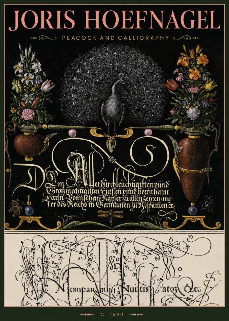 Joris Hoefnagel Peacock and Calligraphy No4 - Affiche