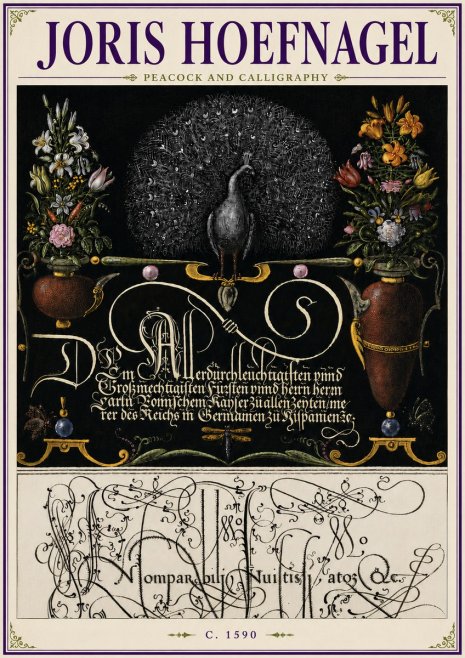 Joris Hoefnagel Peacock and Calligraphy No6 - Affiche