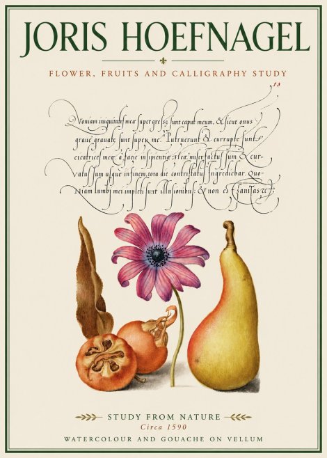 Joris Hoefnagel Study of Flower and Fruits No4 - Affiche