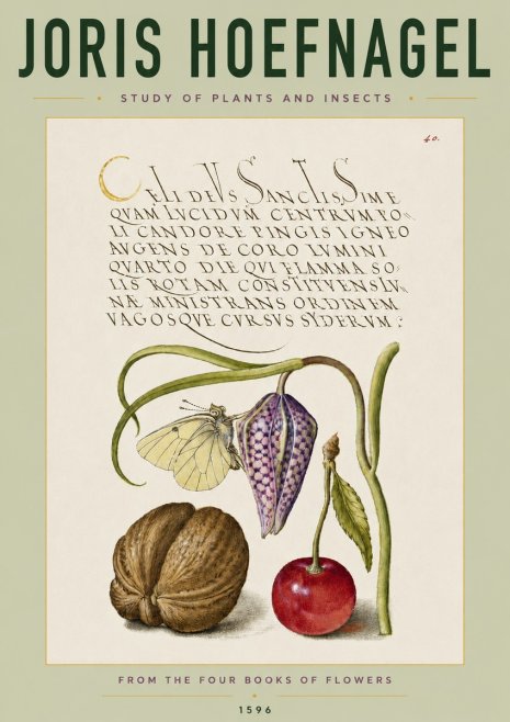 Joris Hoefnagel Study of Plants and Insects No4 - Affiche