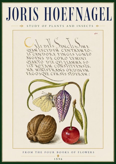 Joris Hoefnagel Study of Plants and Insects No5 - Affiche