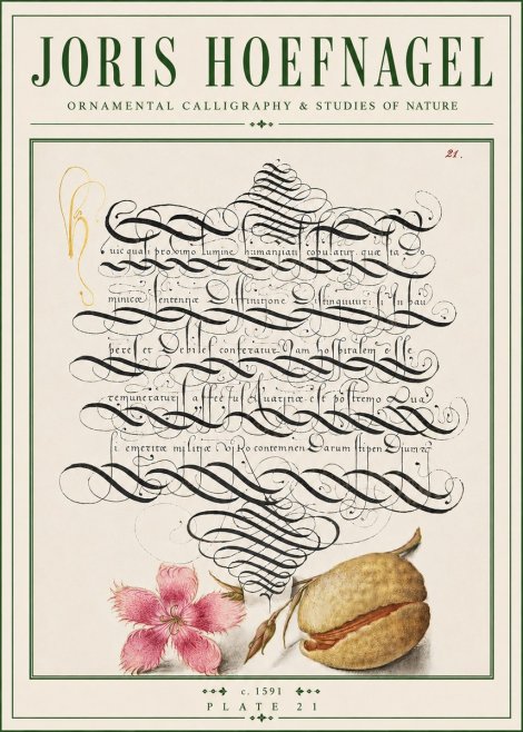 Joris Hoefnagel Ornamental Calligraphy & Studies of Nature No4 - Affiche