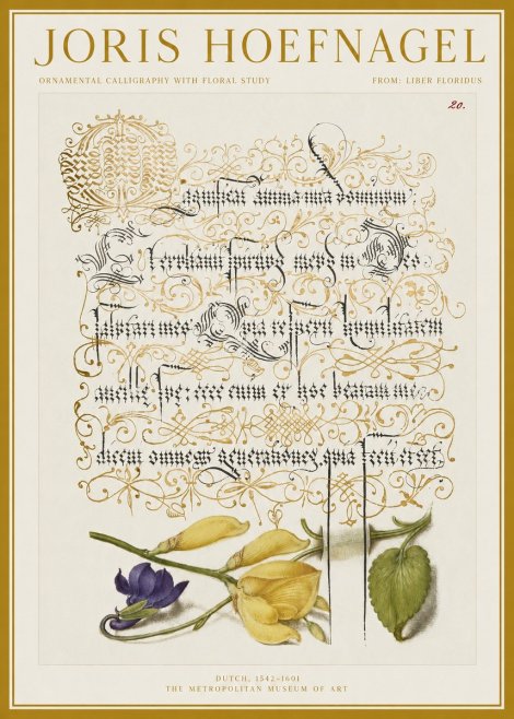 Joris Hoefnagel Ornamental Calligraphy with Floral Study No1 - Affiche