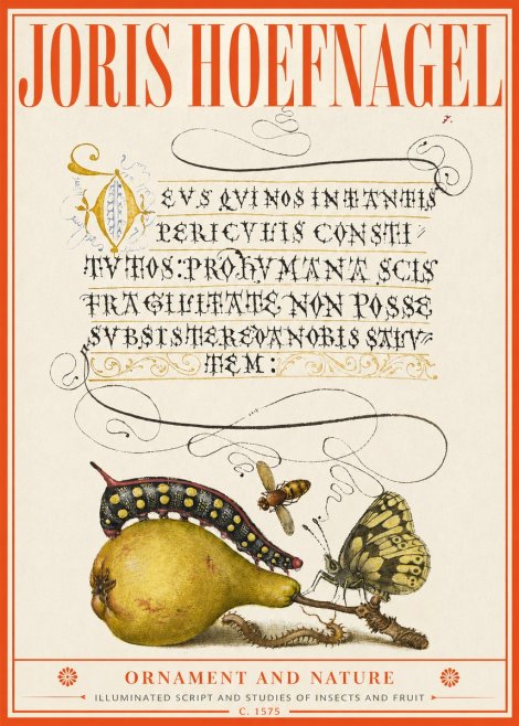 Joris Hoefnagel Ornament and Nature - Illuminated Script and Studies of Insects and Fruit No2 - Affiche