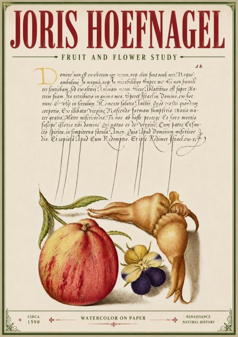 Joris Hoefnagel Fruit and Flower Study No6 - Affiche