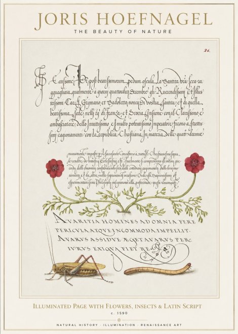 Joris Hoefnagel Illuminated Page with Flowers, Insects & Latin Script No1 - Affiche