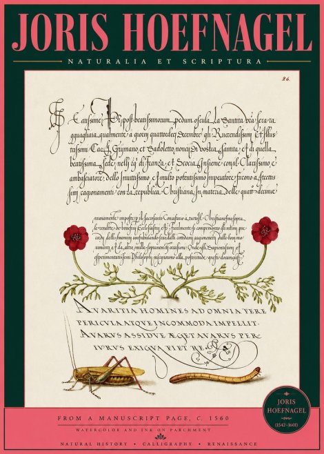 Joris Hoefnagel Illuminated Page with Flowers, Insects & Latin Script No3 - Affiche