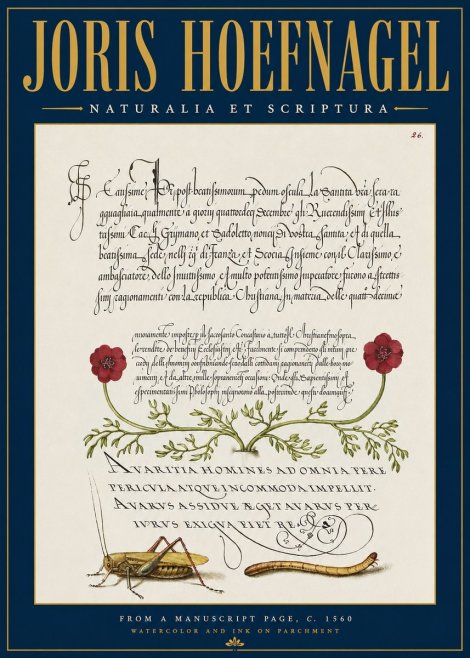 Joris Hoefnagel Illuminated Page with Flowers, Insects & Latin Script No4 - Affiche