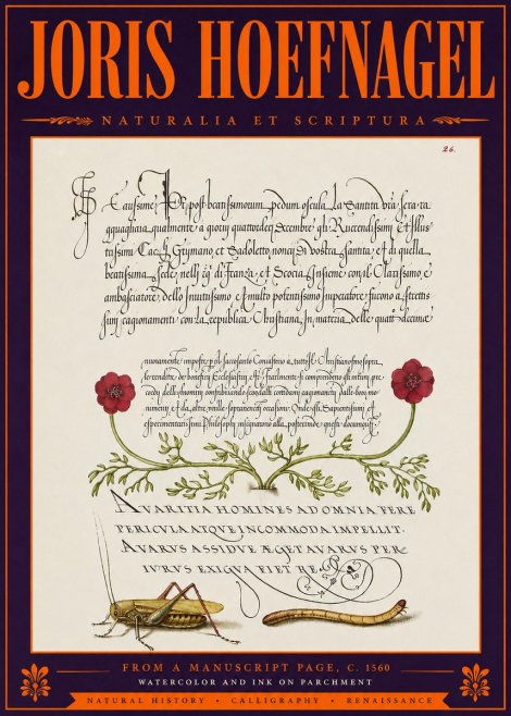 Joris Hoefnagel Illuminated Page with Flowers, Insects & Latin Script No6 - Affiche