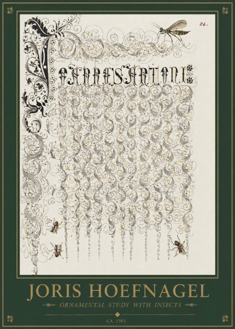 Joris Hoefnagel Ornamental Study with Insects No1 - Affiche
