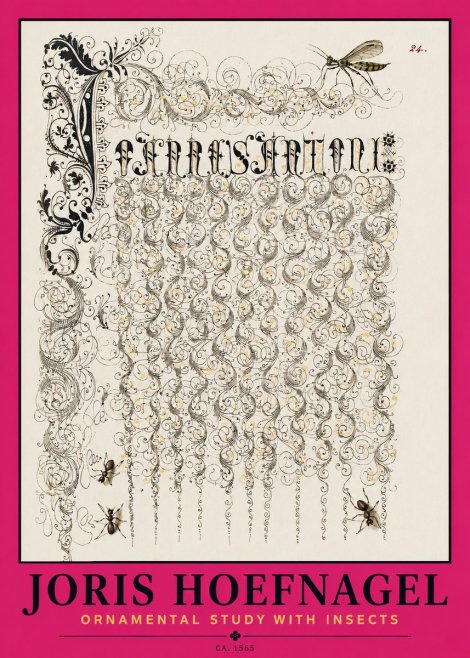 Joris Hoefnagel Ornamental Study with Insects No2 - Affiche